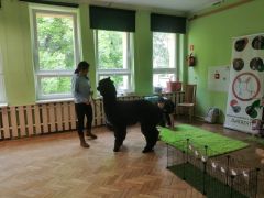 większy obrazek nr 1