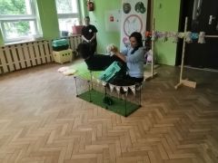 większy obrazek nr 4