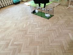 większy obrazek nr 6