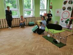 większy obrazek nr 9