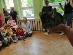 większy obrazek nr 10