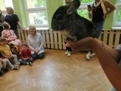 większy obrazek nr 11