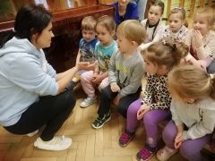 większy obrazek nr 16