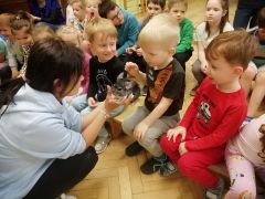 większy obrazek nr 22