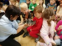 większy obrazek nr 23