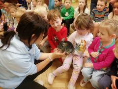 większy obrazek nr 24