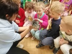 większy obrazek nr 25