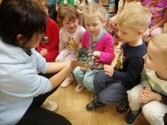 większy obrazek nr 26