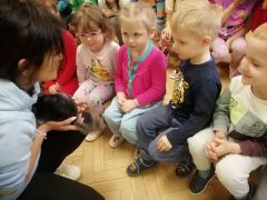 większy obrazek nr 27