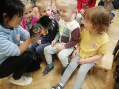 większy obrazek nr 28