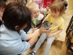 większy obrazek nr 29