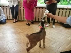 większy obrazek nr 32