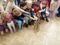 większy obrazek nr 33