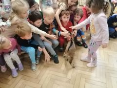 większy obrazek nr 34