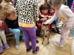 większy obrazek nr 35