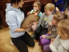 większy obrazek nr 36