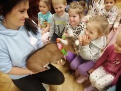 większy obrazek nr 37