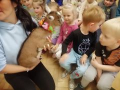 większy obrazek nr 38