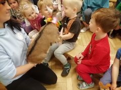 większy obrazek nr 39