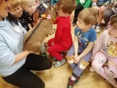 większy obrazek nr 40