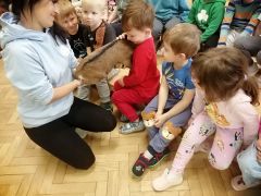 większy obrazek nr 41