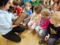 większy obrazek nr 42