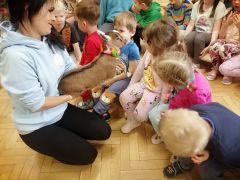 większy obrazek nr 43