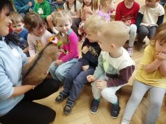 większy obrazek nr 44