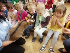 większy obrazek nr 45