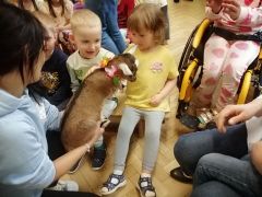 większy obrazek nr 46