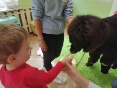 większy obrazek nr 52