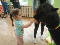 większy obrazek nr 55