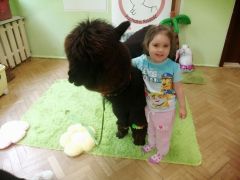 większy obrazek nr 56