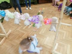 większy obrazek nr 59