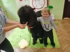 większy obrazek nr 60