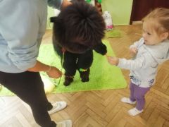 większy obrazek nr 61