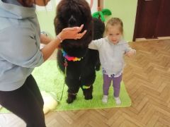 większy obrazek nr 62