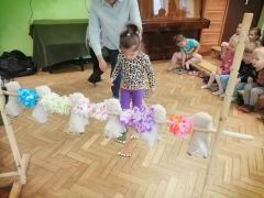 większy obrazek nr 63