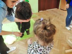 większy obrazek nr 65