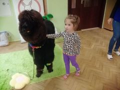 większy obrazek nr 66