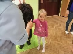 większy obrazek nr 69