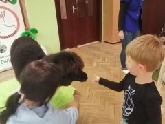 większy obrazek nr 70