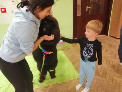 większy obrazek nr 71