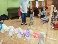 większy obrazek nr 72