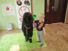 większy obrazek nr 75