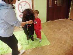 większy obrazek nr 78