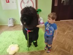 większy obrazek nr 81