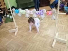 większy obrazek nr 82