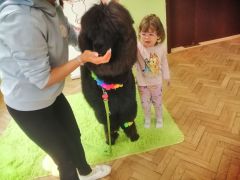 większy obrazek nr 84