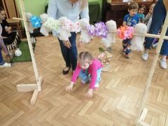 większy obrazek nr 86